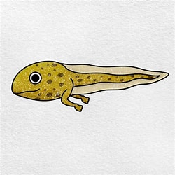 Tadpole